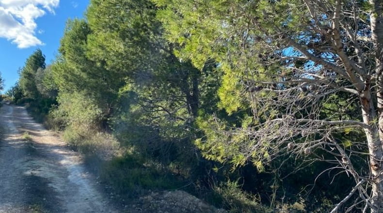 Castellón - El Polido - 44131m2