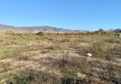 Terreny no urbanitzable en venda a la Rambla de las Brujas, Motril, ref.: TR69551 foto