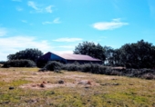 Land with storage building for sale on CC EX - 203, Jaraíz de la Vera, ref: TR69731 photo