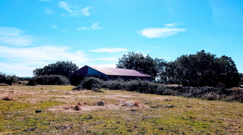 Cáceres - Pasarón de la Vera - 230000m2