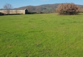 Land with storage building for sale on CC EX - 203, Jaraíz de la Vera, ref: TR69731 photo