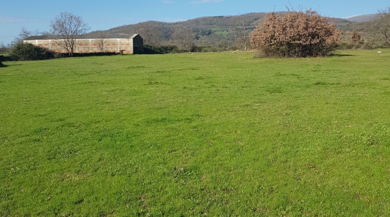 Cáceres - Pasarón de la Vera - 230000m2