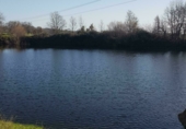 Land with storage building for sale on CC EX - 203, Jaraíz de la Vera, ref: TR69731 photo