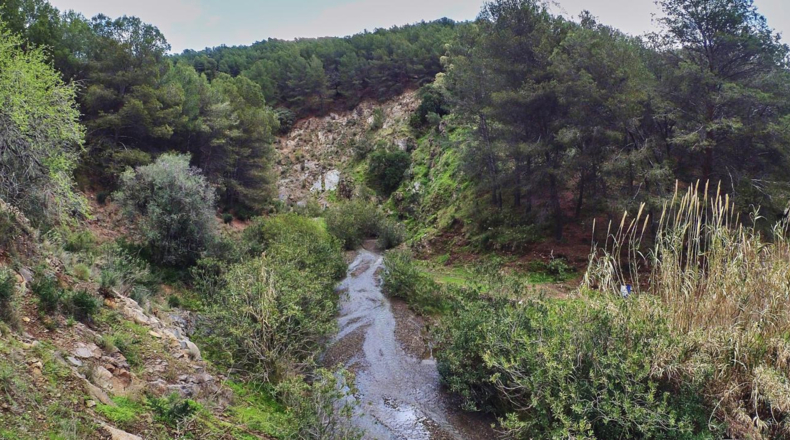 Málaga - Málaga - 118355m2