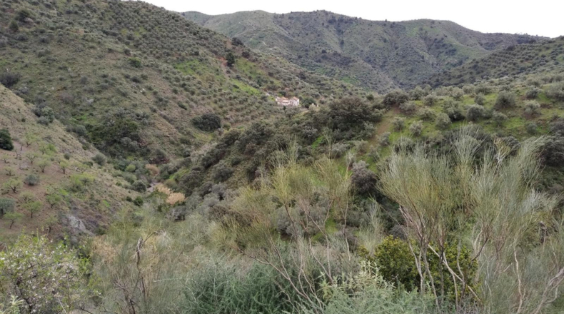 Málaga - Málaga - 118355m2
