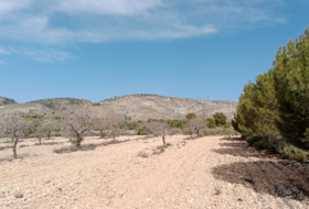 Beneixama 28500&nbsp;m² 