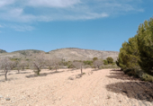 Terreno con Almacén en venta en la El Forseguet de Arriba, Beneixama, ref: TR69750 foto