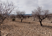 Terreno con Almacén en venta en la El Forseguet de Arriba, Beneixama, ref: TR69750 foto