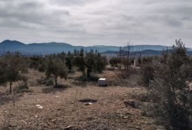 Beneixama 28500&nbsp;m² 