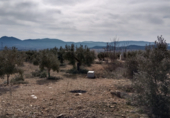 Terreno con Almacén en venta en la El Forseguet de Arriba, Beneixama, ref: TR69750 foto