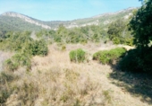 Non-developable land for sale on Poligono 2, Figuerola del Camp, ref: TR70047 photo