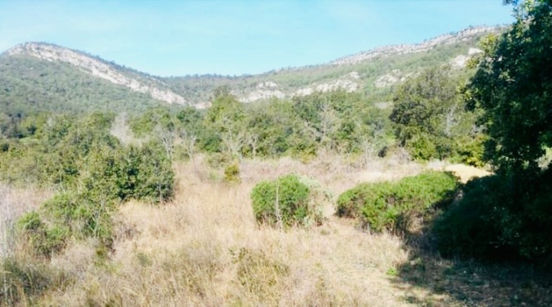 Tarragona - Figuerola del Camp - 10000m2