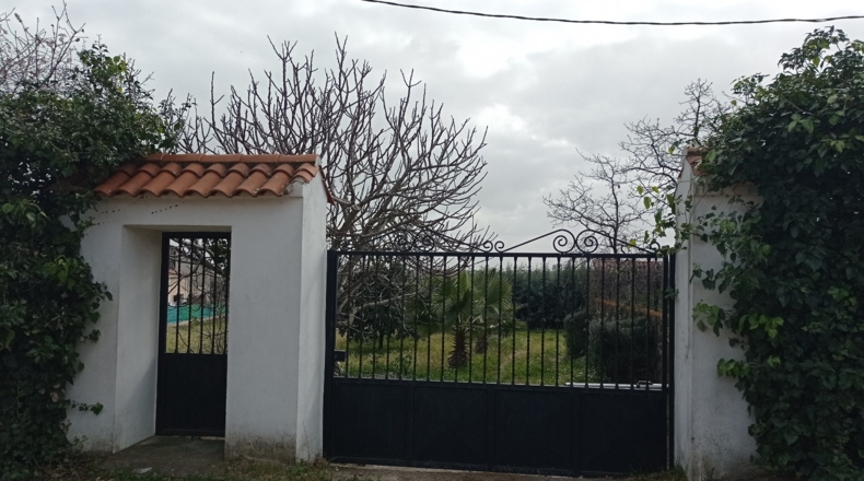 Cáceres - Cilleros - 8000m2