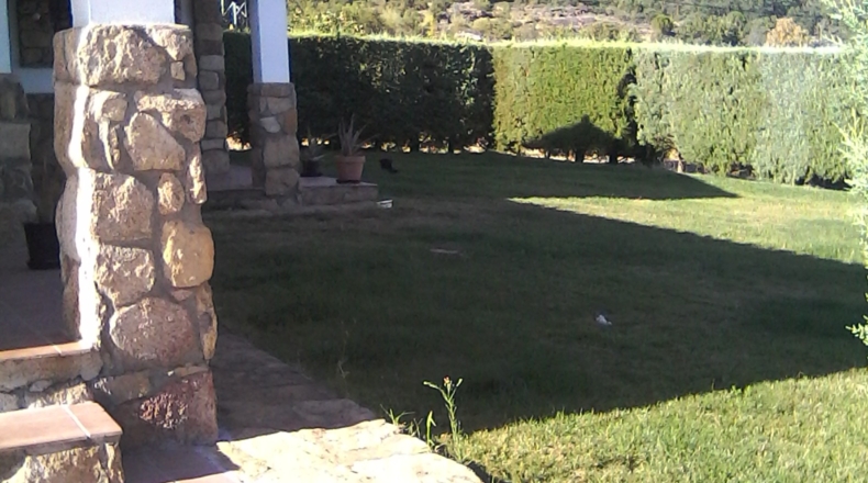 Cáceres - Cilleros - 8000m2