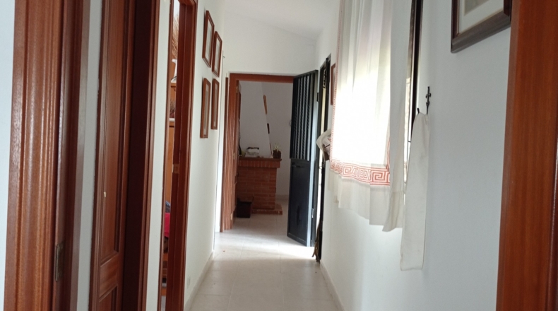 Cáceres - Cilleros - 8000m2