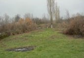 Sòl urbà en venda a la francisco martin, Navacepeda de Tormes, ref.: TR70056 foto
