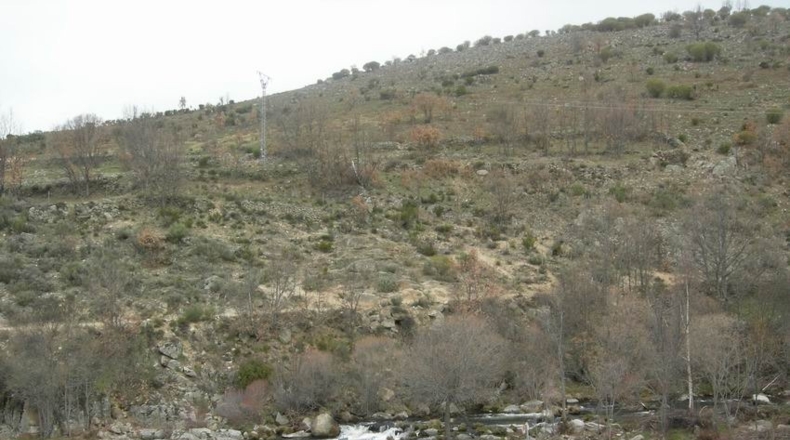 Ávila - Navacepeda de Tormes - 700m2