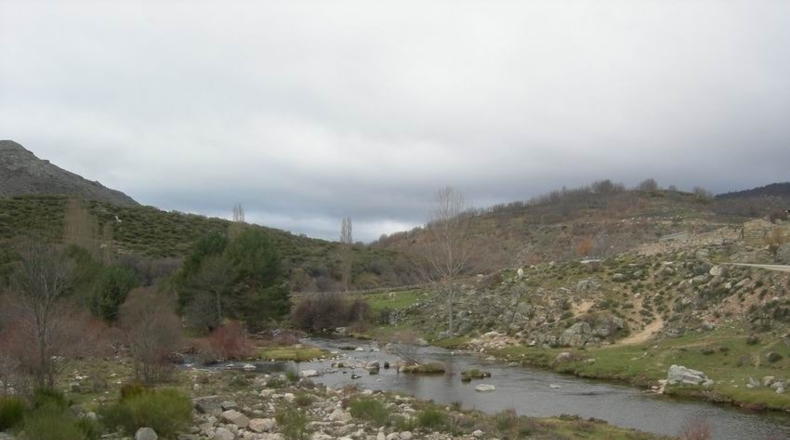 Ávila - Navacepeda de Tormes - 700m2