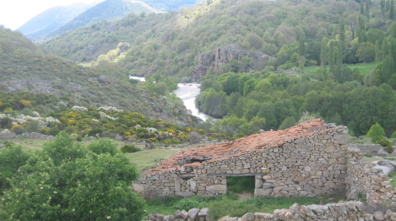 Ávila - Navacepeda de Tormes - 700m2