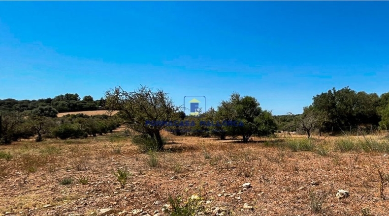 Islas Baleares - Ariany - 23200m2