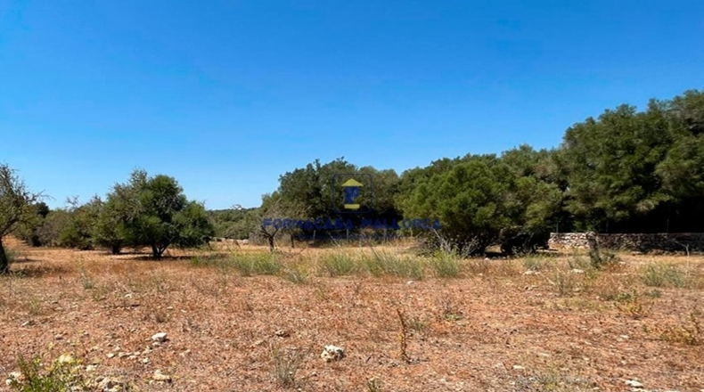 Islas Baleares - Ariany - 23200m2