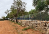Parcela urbanizable en venta en la Diseminado, Ariany, ref: TR70250 foto