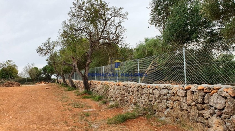 Islas Baleares - Ariany - 23200m2