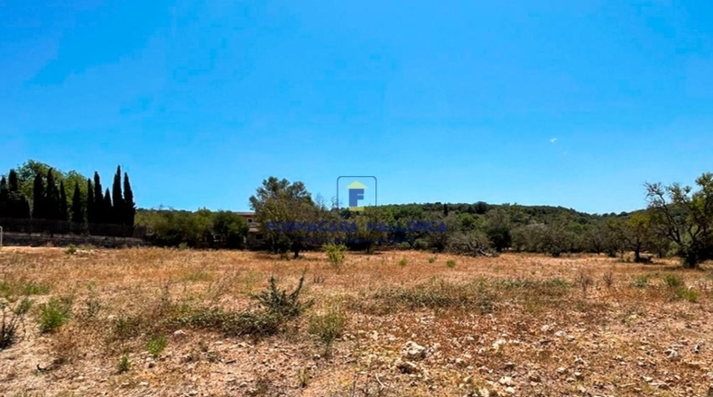 Islas Baleares - Ariany - 23200m2