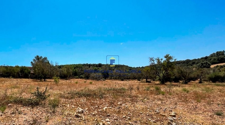 Islas Baleares - Ariany - 23200m2