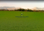 Land suitable for development for sale on Ccarretera Ma-3470 s/n, Alcúdia, ref: TR70341 photo