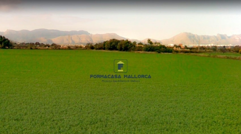Islas Baleares - Alcudia - 14750m2