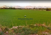 Land suitable for development for sale on Ccarretera Ma-3470 s/n, Alcúdia, ref: TR70341 photo