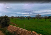 Land suitable for development for sale on diseminado, Llucmajor, ref: TR70561 photo