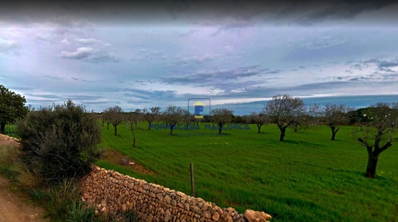 Islas Baleares - Lluchmayor - 33400m2