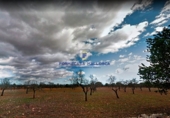 Land suitable for development for sale on diseminado, Llucmajor, ref: TR70561 photo