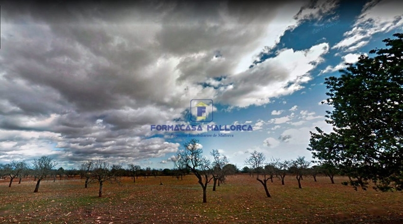 Islas Baleares - Lluchmayor - 33400m2