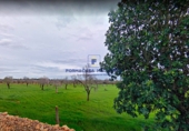 Land suitable for development for sale on diseminado, Llucmajor, ref: TR70561 photo