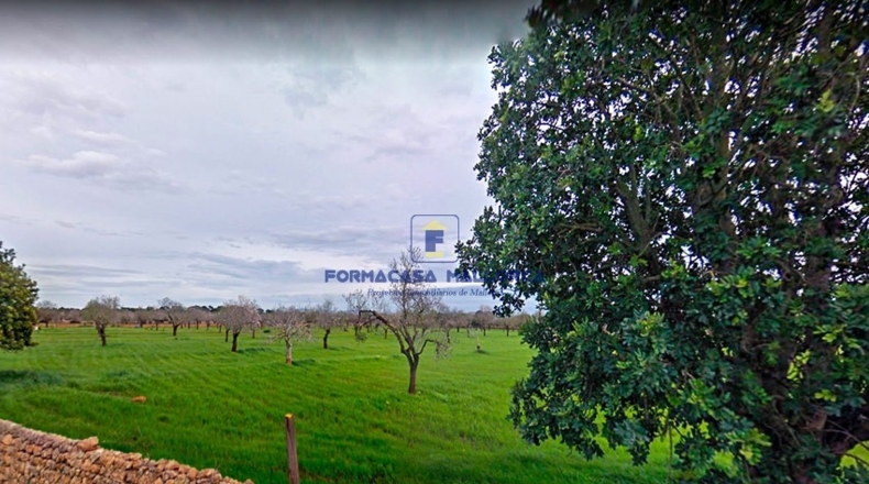 Islas Baleares - Lluchmayor - 33400m2