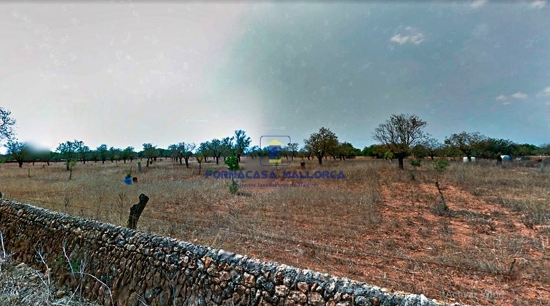 Islas Baleares - Lluchmayor - 33400m2