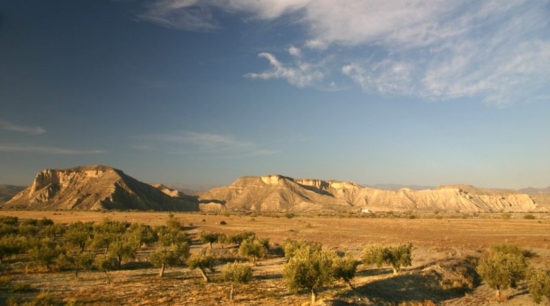 Almería - Tabernas - 4000m2