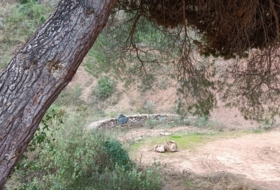 Foto 6