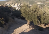 Terreny no urbanitzable en venda a la Calle Cuatro Esquinas, La Guardia de Jaén, ref.: TR70343 foto