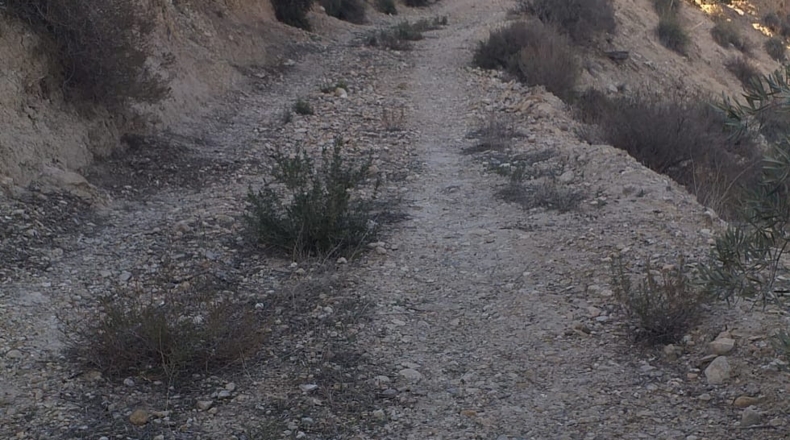 Jaén - La Guardia de Jaén - 19527m2