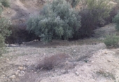 Terreny no urbanitzable en venda a la Calle Cuatro Esquinas, La Guardia de Jaén, ref.: TR70343 foto