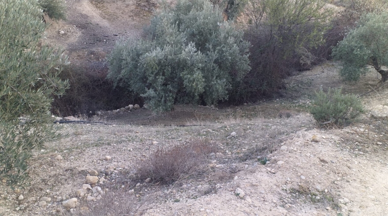 Jaén - La Guardia de Jaén - 19527m2