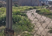 Industrial warehouse for sale on Calle Francisco Pizarro, Abanilla, ref: TR70681 photo