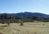 Земельный участок на продажу в городе Cazorla Фото