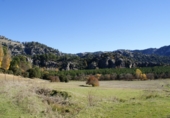 Земельный участок на продажу в городе Cazorla Фото
