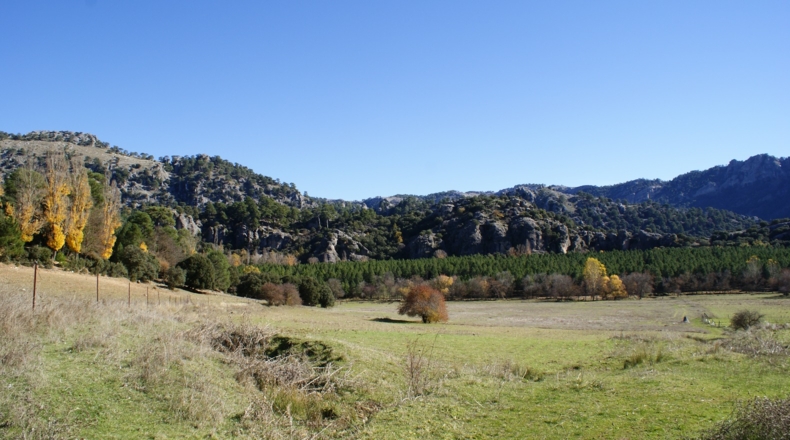 Jaén - Cazorla - 380m2