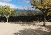 Terreno no urbanizable en venta en la VILLANUEVA DE LA VERA, Villanueva de la Vera, ref: TR70723 foto
